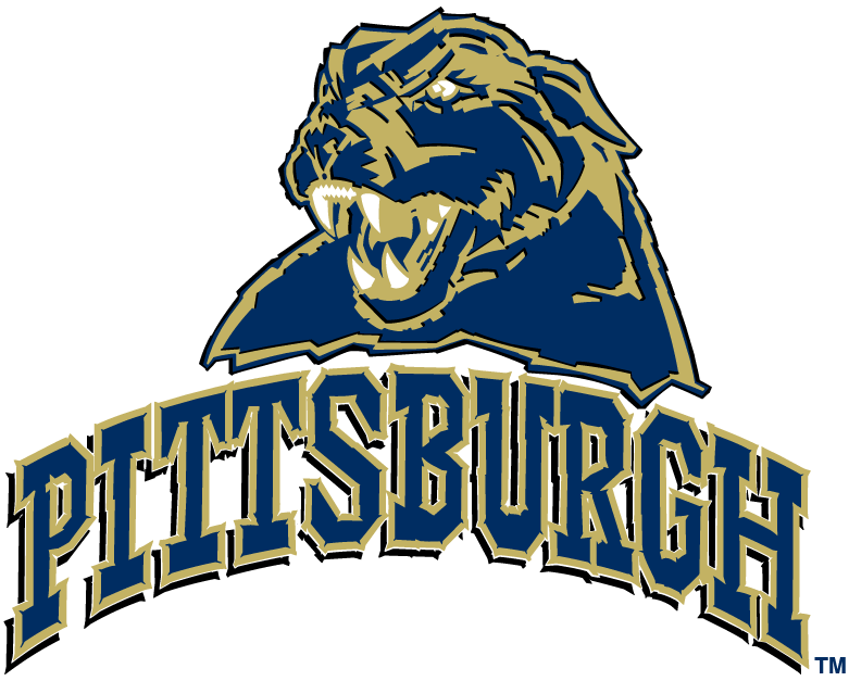 Pittsburgh Panthers 2005-2015 Alternate Logo t shirts iron on transfers